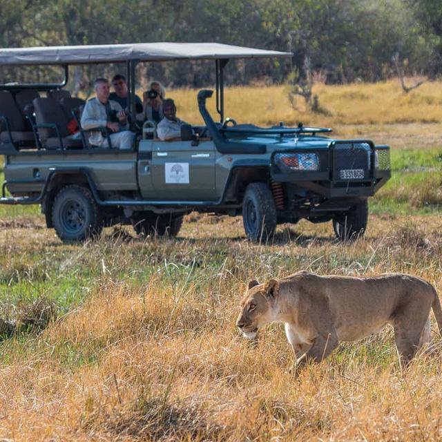Discover Hwange Discover Hwange