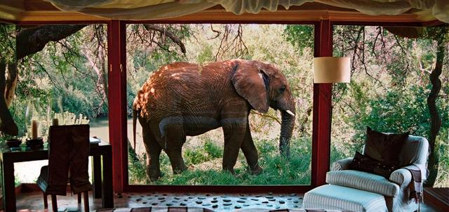 Sanctuary Makanyane Safari Lodge Sanctuary Makanyane Safari Lodge