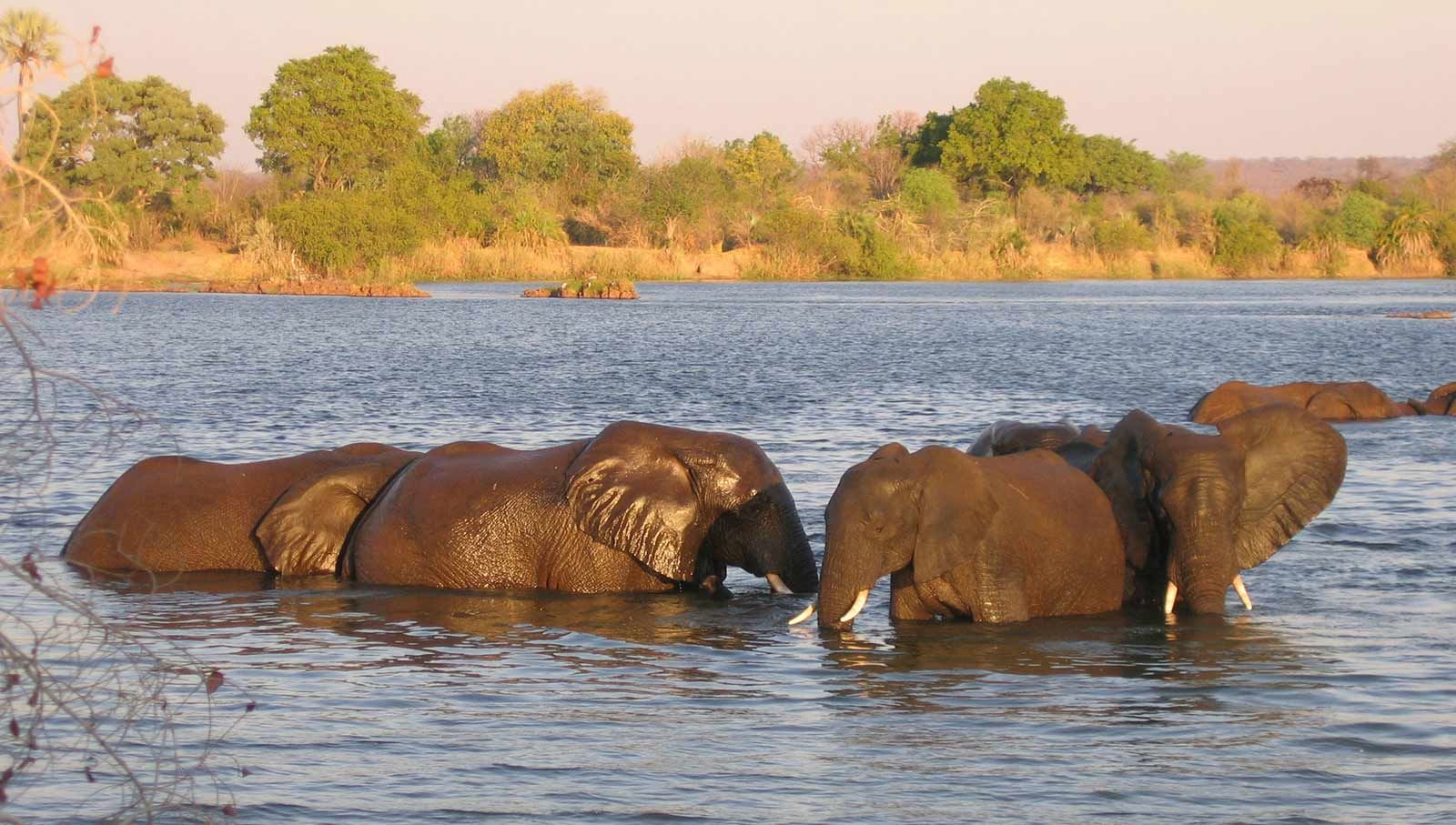 Lake Kariba