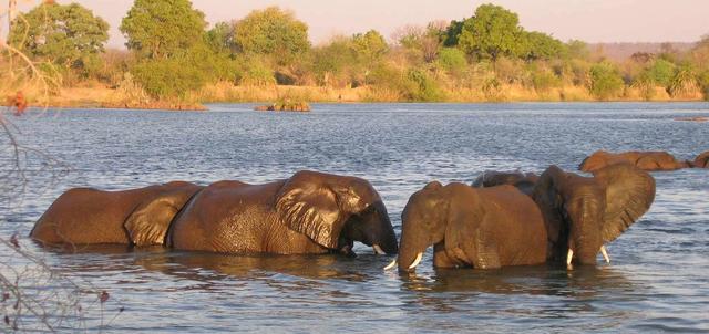 Lake Kariba Lake Kariba