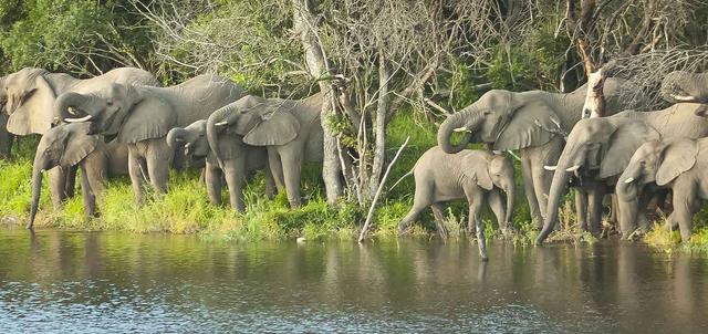 Thula Thula Safari Lodge Thula Thula Safari Lodge