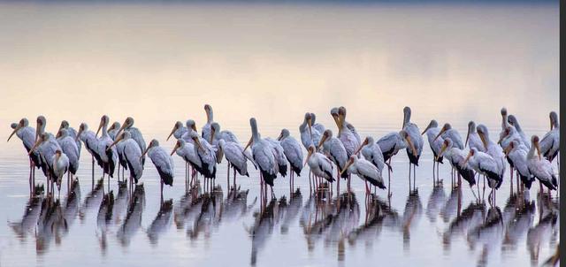 Isoitok Camp Isoitok Camp