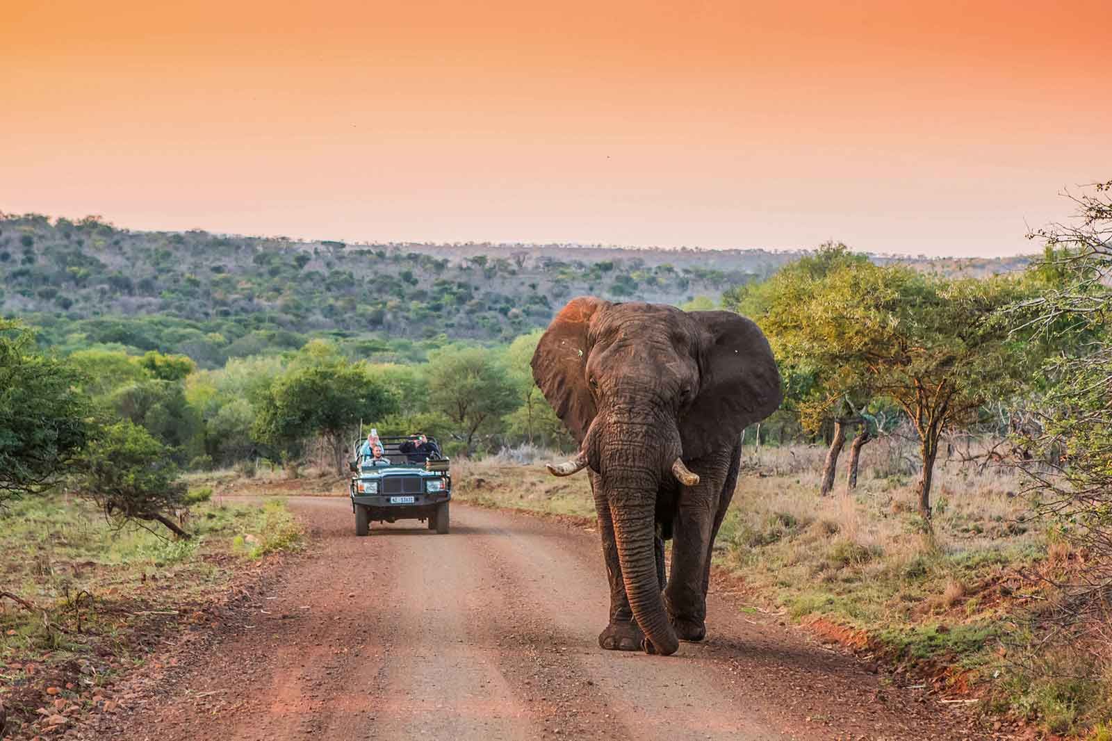 Zululand Rhino Reserve