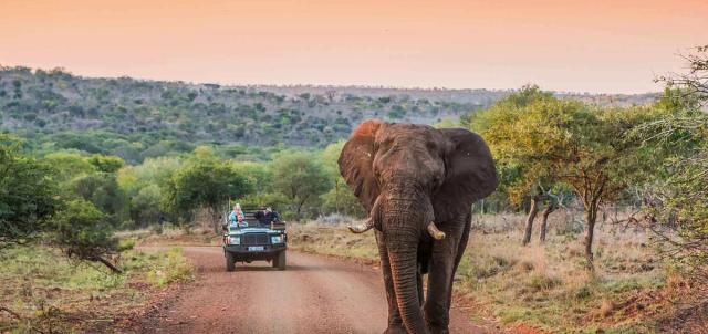 Zululand Rhino Reserve Zululand Rhino Reserve