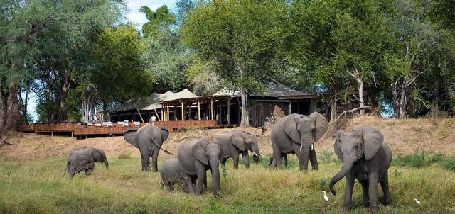 Discover Mana Pools Discover Mana Pools