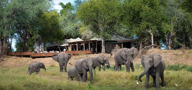 Discover Mana Pools