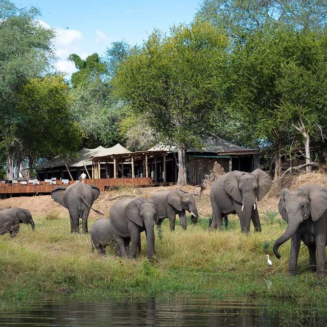 Discover Mana Pools Discover Mana Pools
