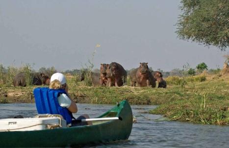 Zambezi Canoeing Safaris