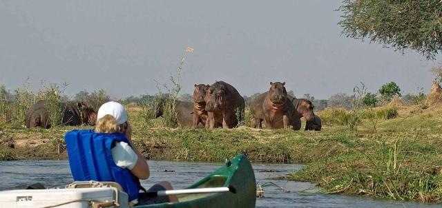 Zambezi Canoeing Safaris Zambezi Canoeing Safaris