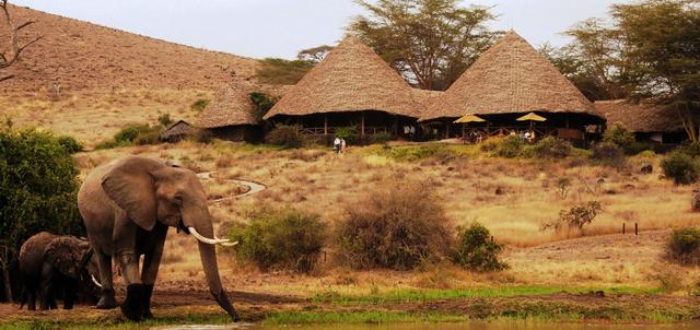 Tortilis Camp Tortilis Camp