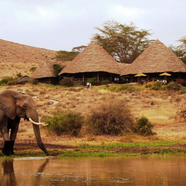 Tortilis Camp Tortilis Camp