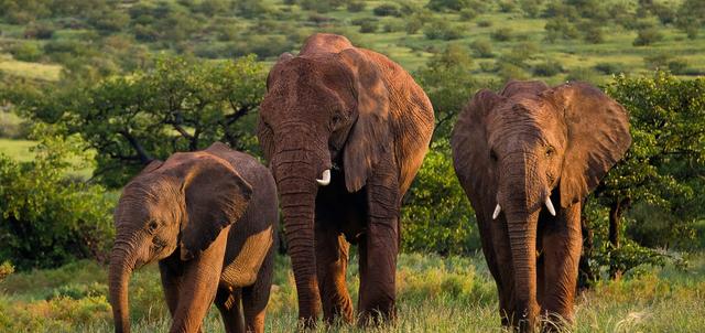 Palmwag Lodge Palmwag Lodge