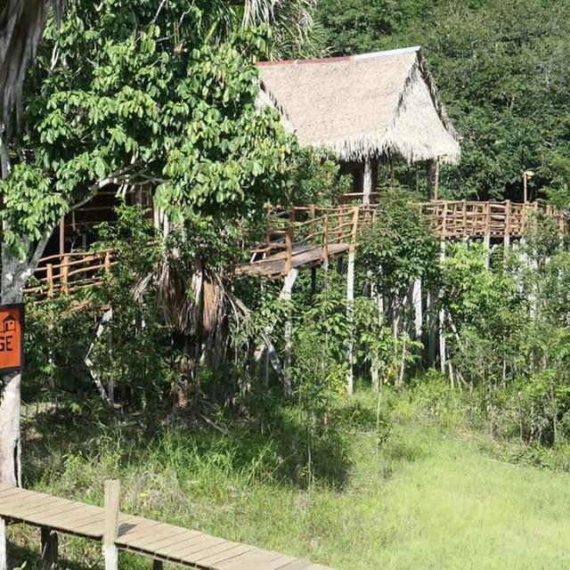 Tariri Amazon Lodge Tariri Amazon Lodge