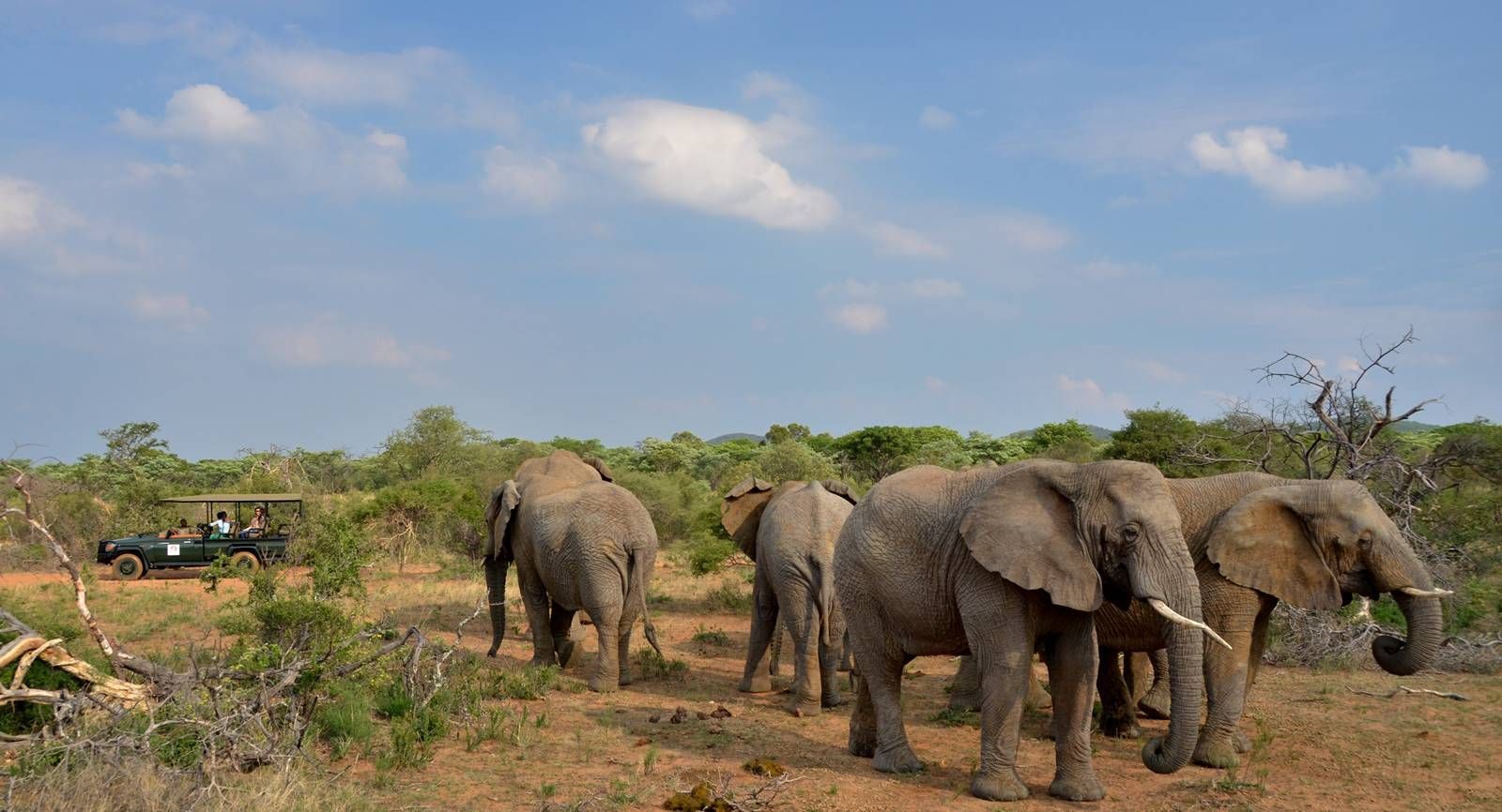 Waterberg Waterberg
