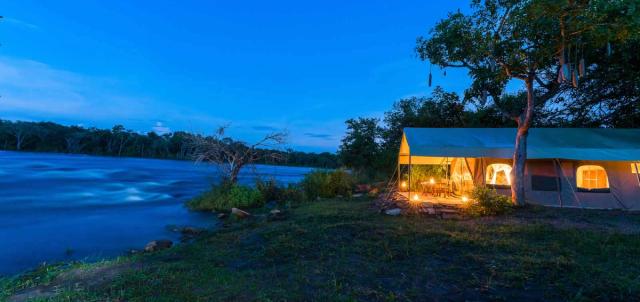 Papa's Camp Papa's Camp