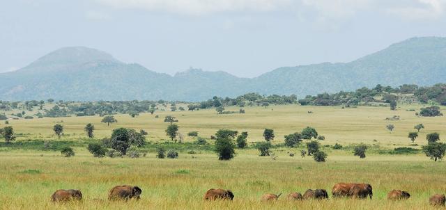 Kidepo Valley National Park Kidepo Valley National Park
