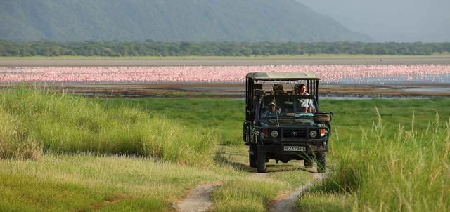 Kenya and Tanzania Migration Kenya and Tanzania Migration