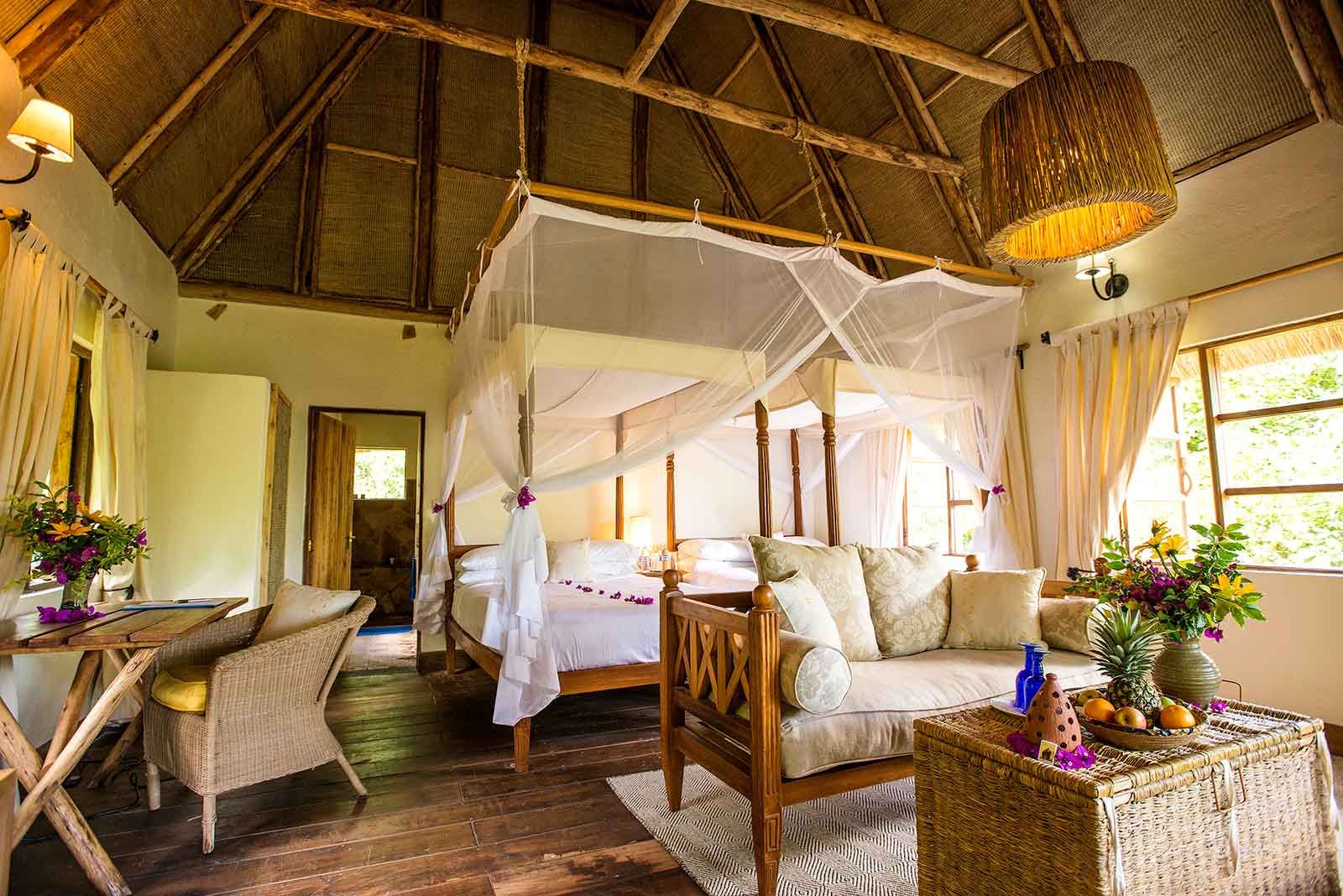 Bwindi Lodge - 0 - 0