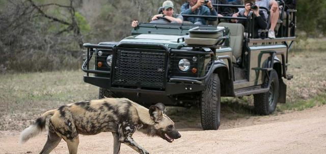 Complete Kruger Safari Complete Kruger Safari