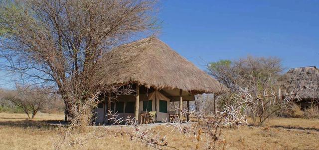 Whistling Thorn Tented Camp Whistling Thorn Tented Camp