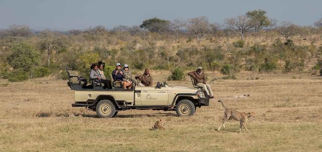 Sabi Sand Self Drive