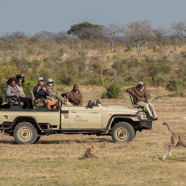 Sabi Sand Self Drive