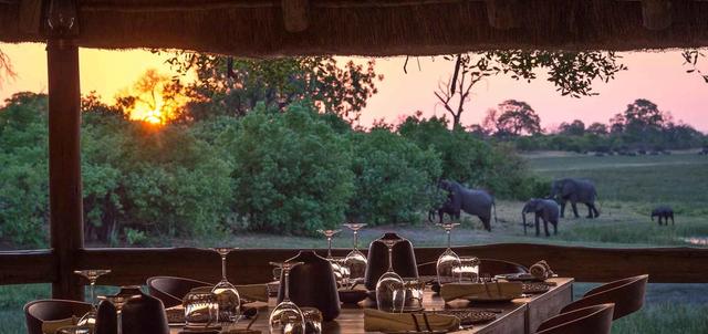 In Search of Predators Luxury In Search of Predators Luxury