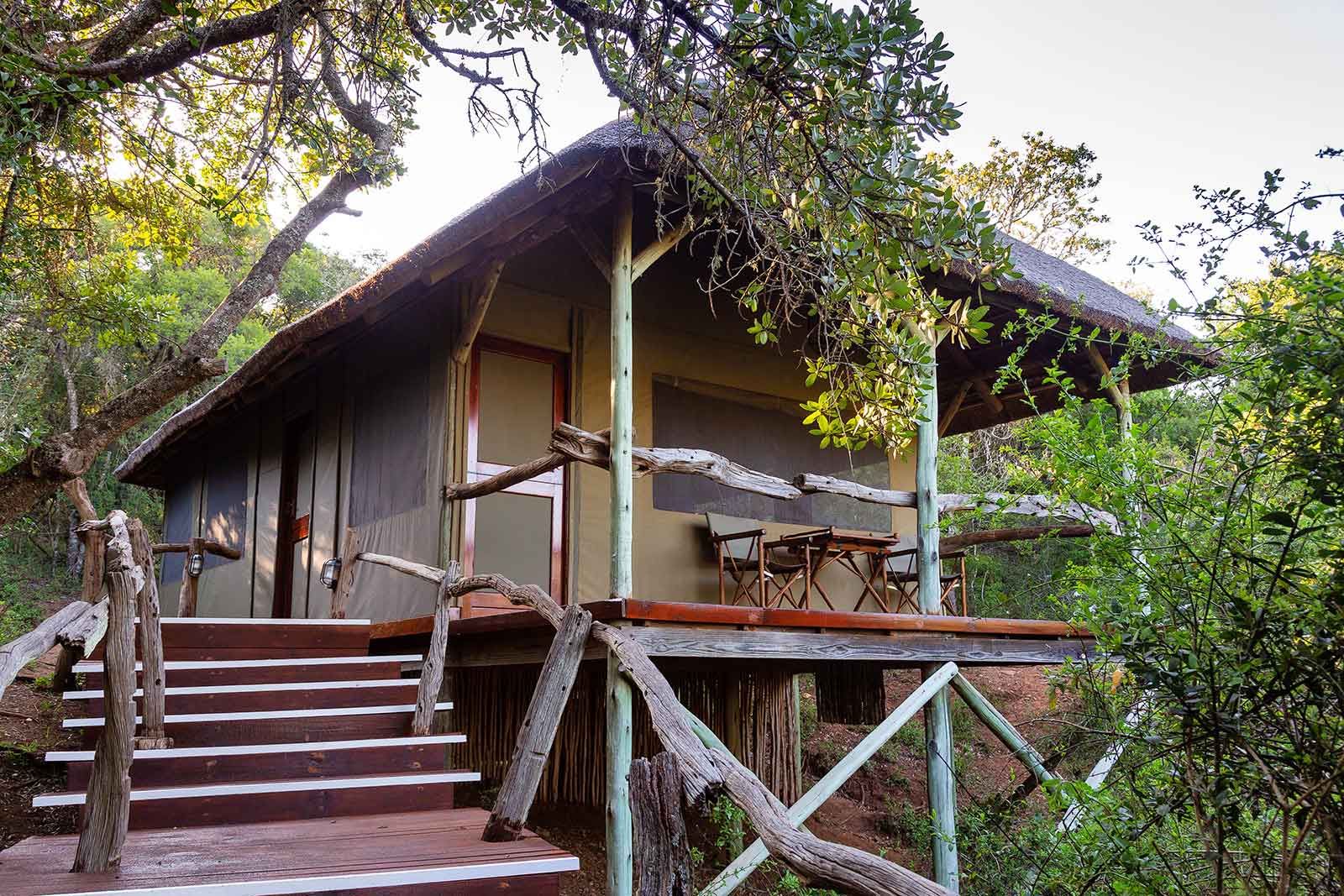Lalibela Tree Tops Lodge - 0 - 3
