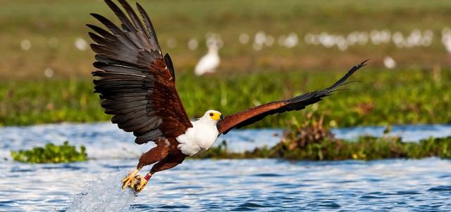 Crater Lake Camp Crater Lake Camp