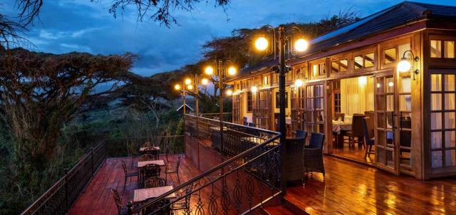 Ngorongoro Lion's Paw Ngorongoro Lion's Paw