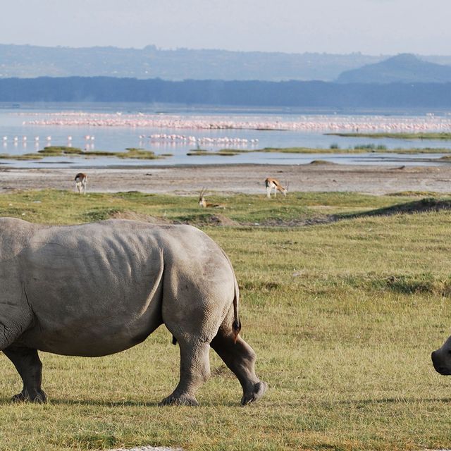 Mbweha Lodge Mbweha Lodge