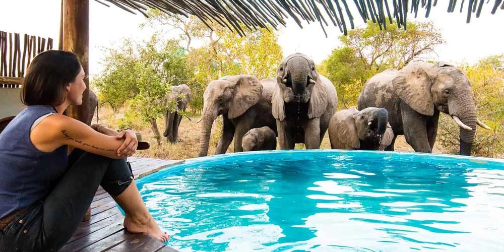 Sun Safaris Kruger National Park Safaris & Packages Sun Safaris Kruger National Park Safaris & Packages