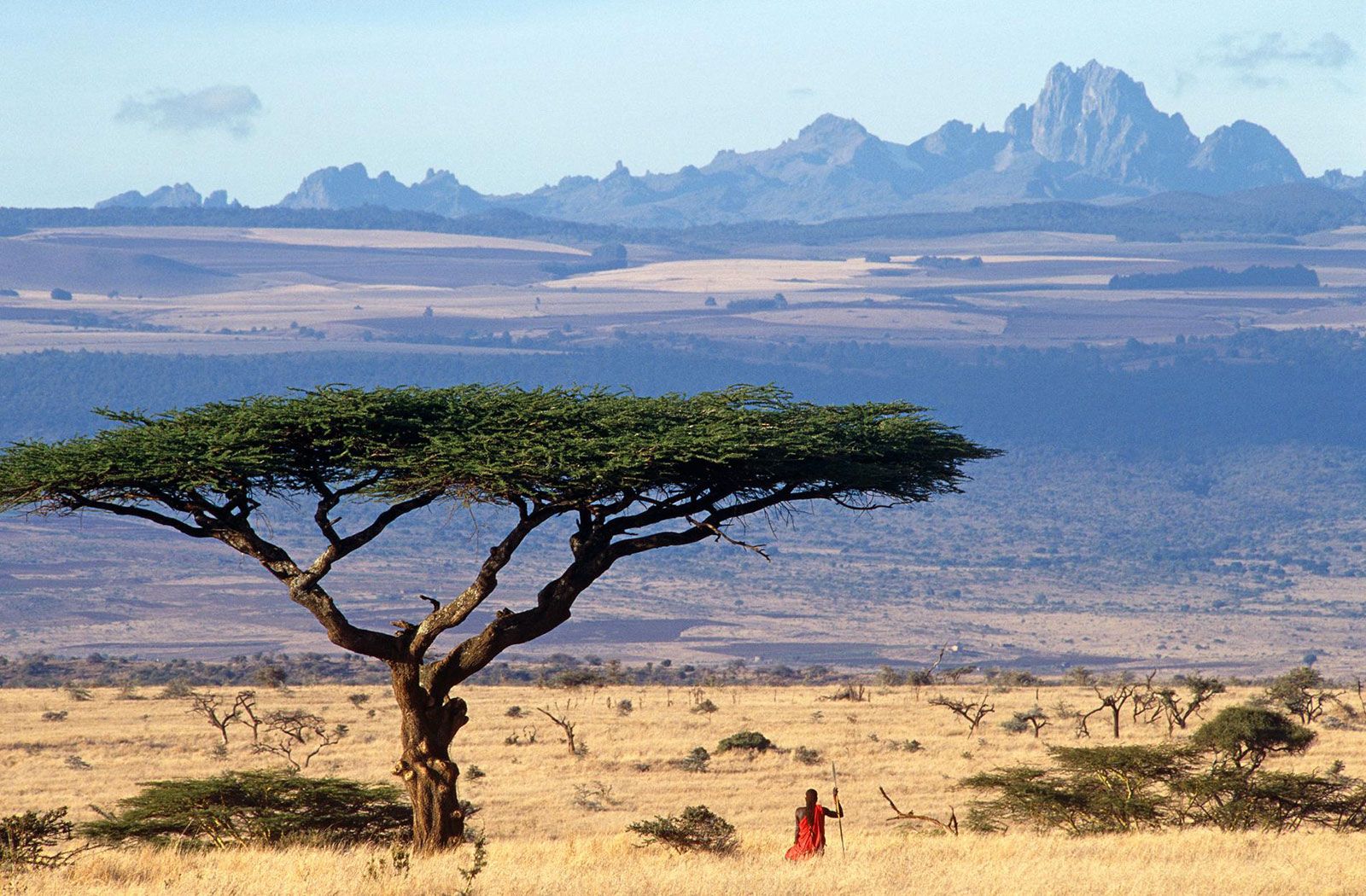 Kenya Safaris Kenya Safaris