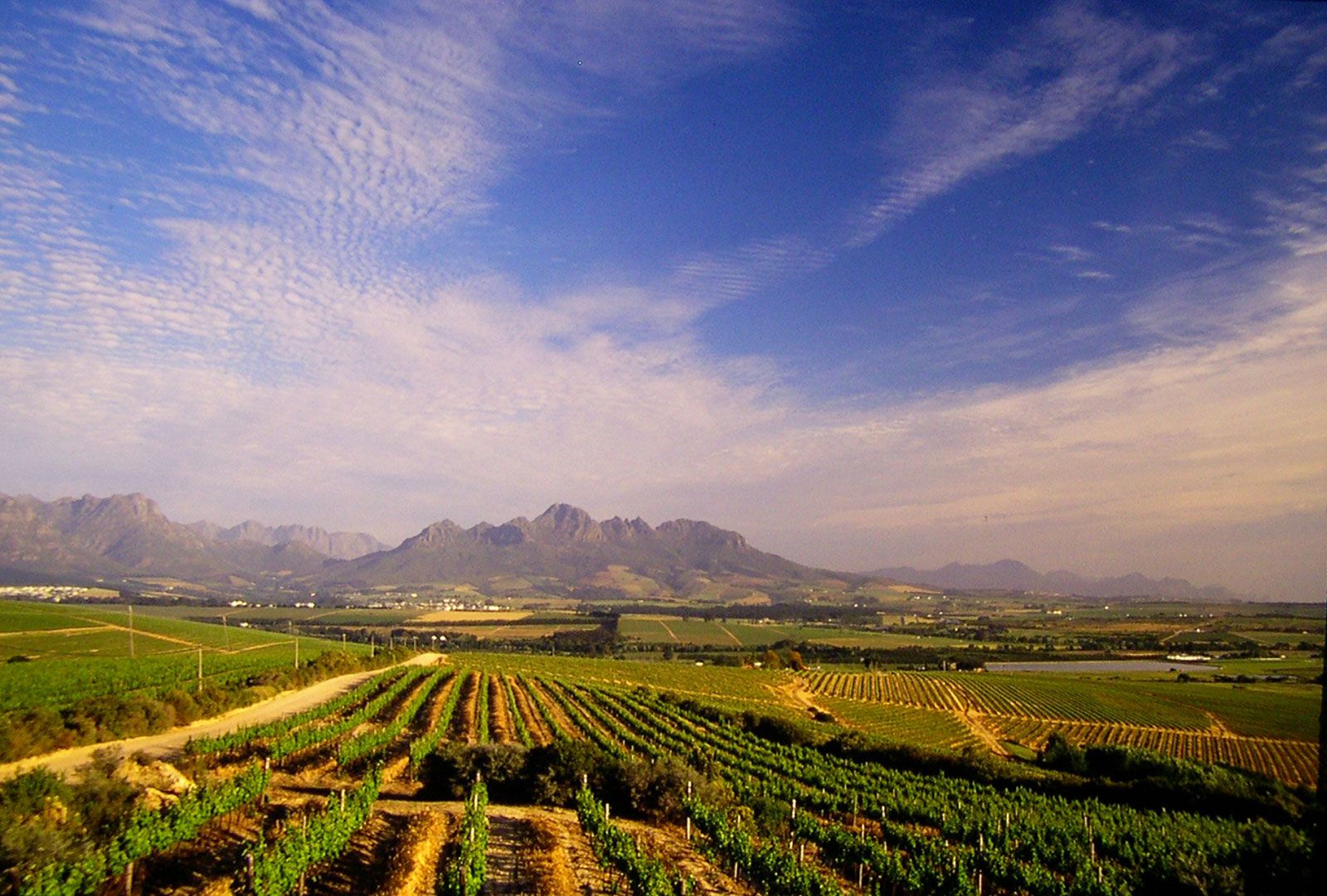 Stellenbosch Stellenbosch