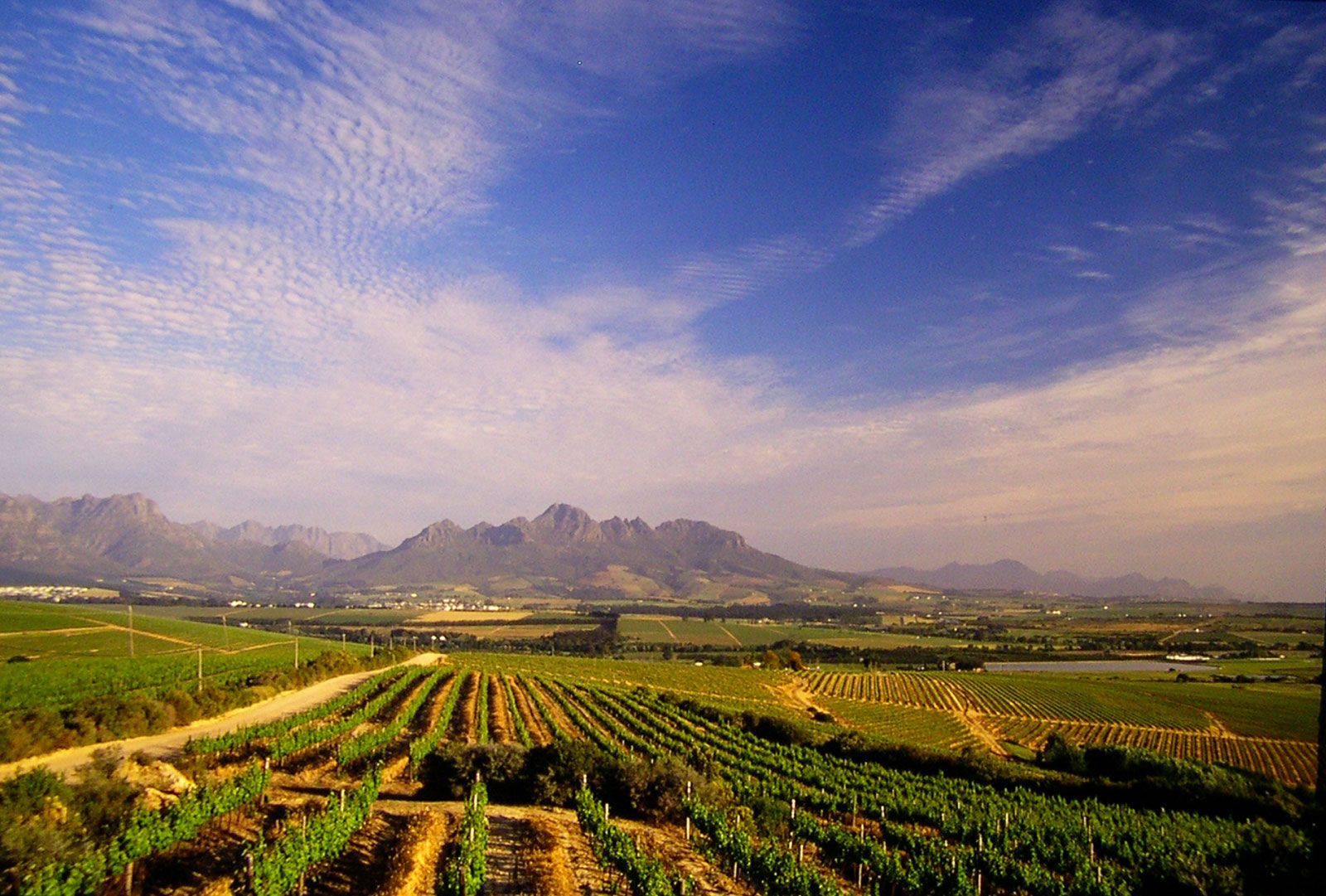 Stellenbosch