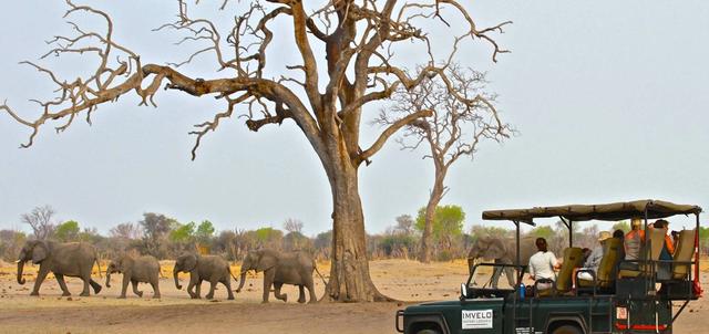 Camelthorn Lodge Camelthorn Lodge