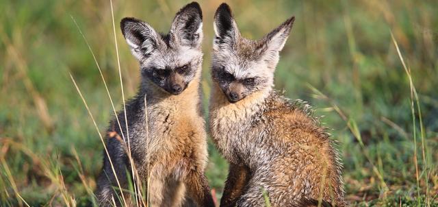 Sunbird Lodge Sunbird Lodge