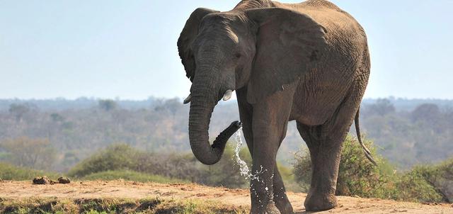 Limpopo Province Limpopo Province