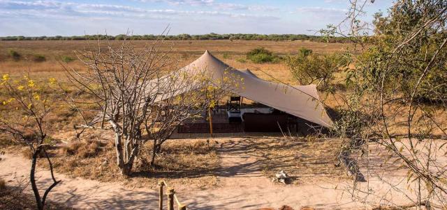 Ntemwa Busanga Camp Ntemwa Busanga Camp