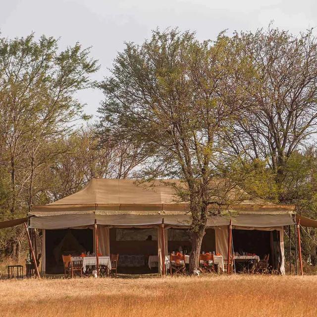 Ndutu Under Canvas Safari Camp Ndutu Under Canvas Safari Camp