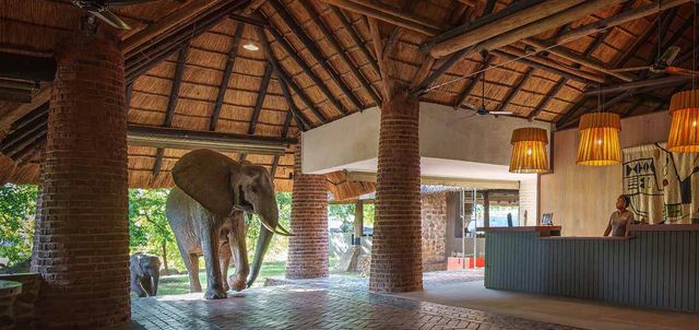 Mfuwe Lodge Mfuwe Lodge