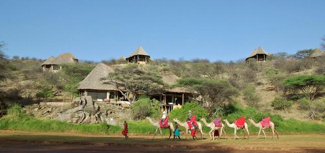 Sasaab Lodge Sasaab Lodge