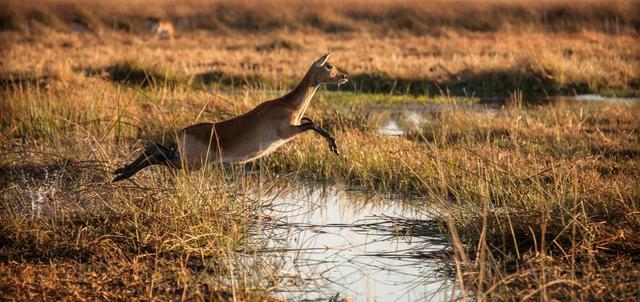 Marinas Camp Marinas Camp