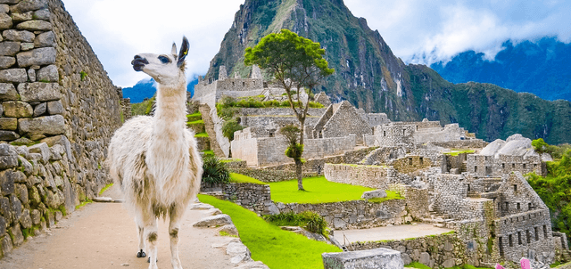 Gold of Inca Gold of Inca