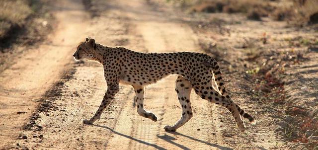 Balule Game Reserve Balule Game Reserve