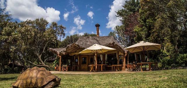 Chui Lodge Chui Lodge