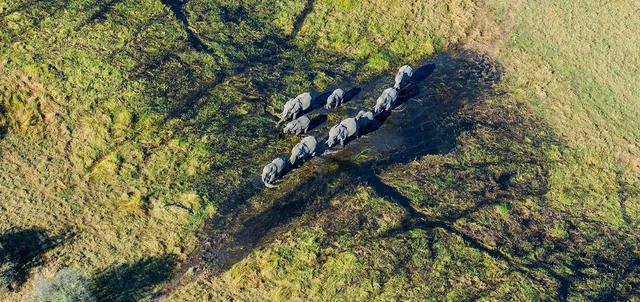 Botswana Safaris Botswana Safaris