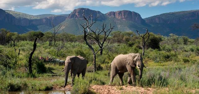 Welgevonden Game Reserve Welgevonden Game Reserve