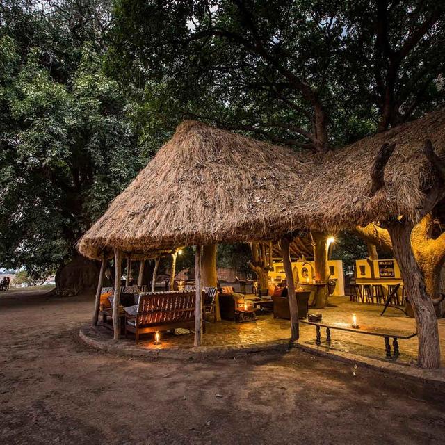 Tafika Camp Tafika Camp