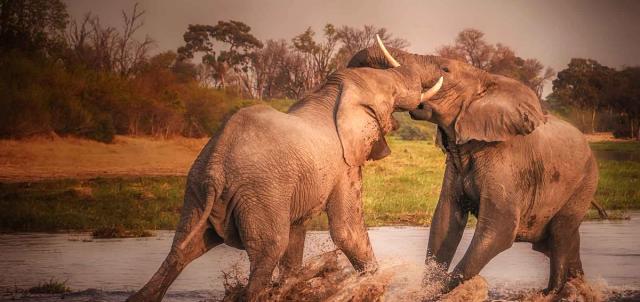 Moremi Game Reserve Moremi Game Reserve